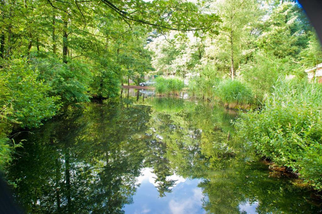 Vakantiepark De Berkenhorst Kootwijk Eksteriør billede
